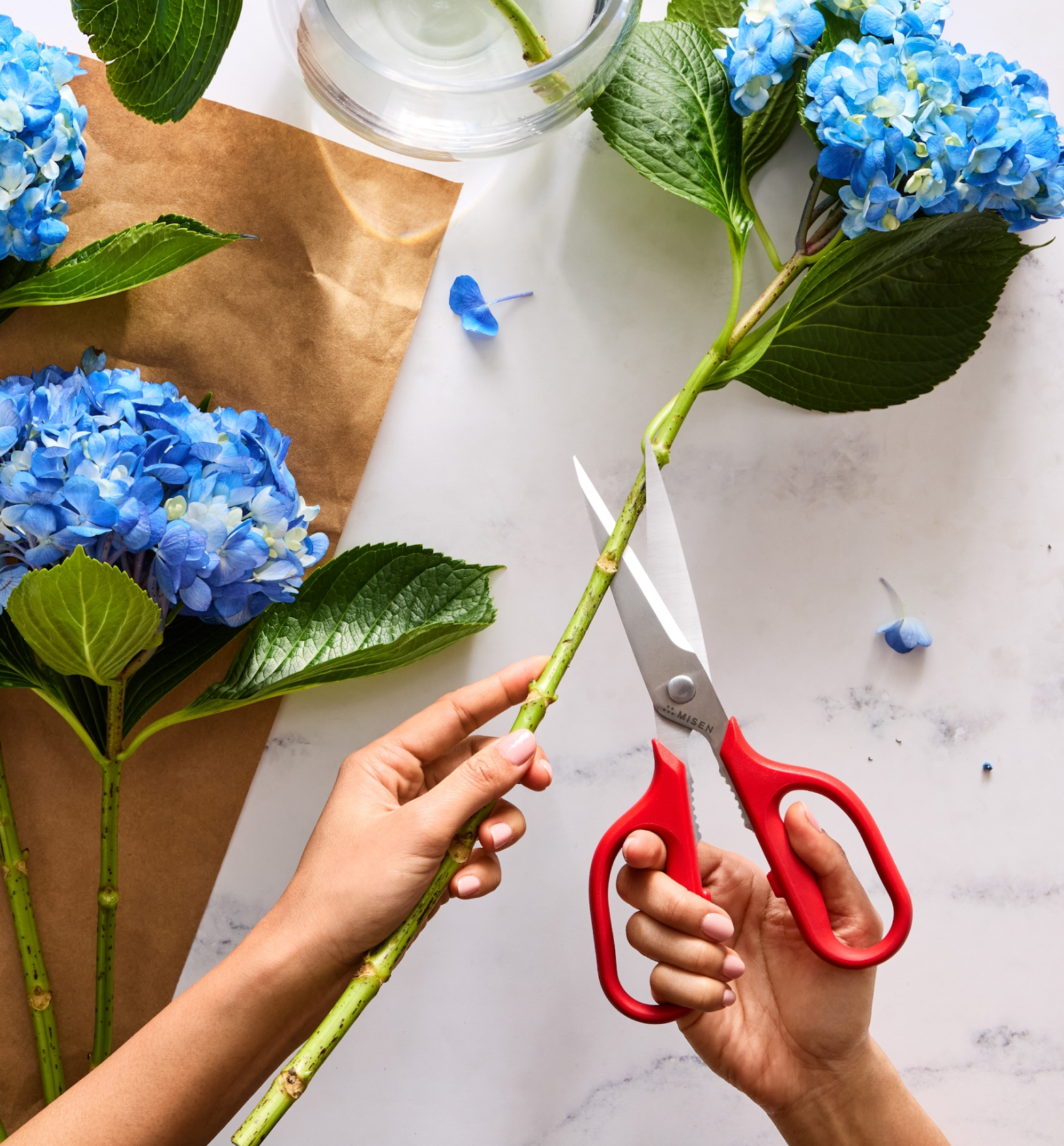 Misen2-Web-PDP-KitchenShears-2pc-Gallery-5.png