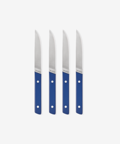4-Piece Straight-Edge Steak Knives (ACUTO440) - Blue
